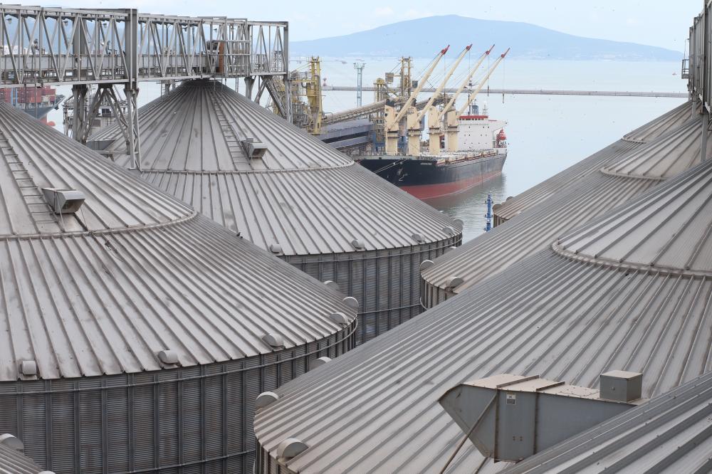 Из порта Новороссийск впервые отгружено судно пшеницы для Саудовской Аравии